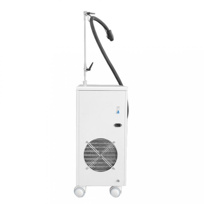 van de de Machine-20c Cryotherapy Zimmer Huid van 800w Cryotherapy de Gezichts Koelmachine 3