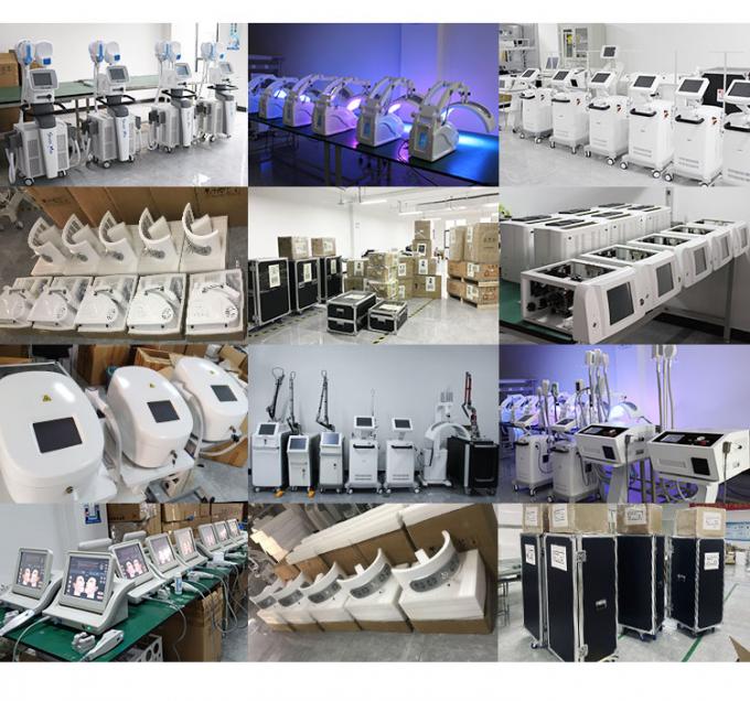 van de de Machine-20c Cryotherapy Zimmer Huid van 800w Cryotherapy de Gezichts Koelmachine 14