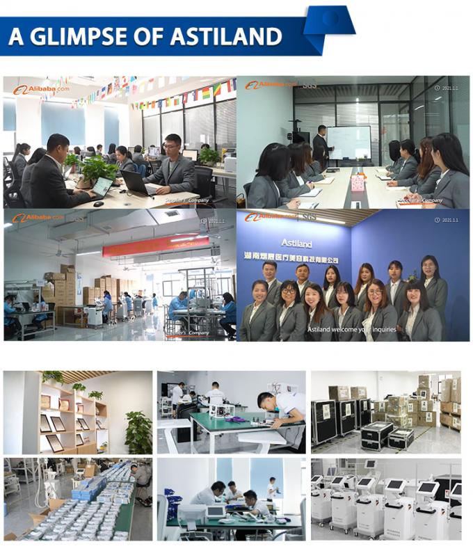 van de de Machine-20c Cryotherapy Zimmer Huid van 800w Cryotherapy de Gezichts Koelmachine 13