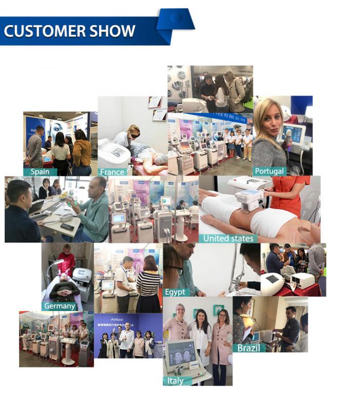 van de de Machine-20c Cryotherapy Zimmer Huid van 800w Cryotherapy de Gezichts Koelmachine 15