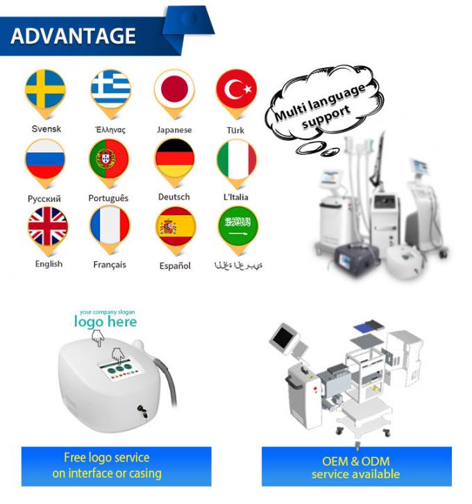 van de de Machine-20c Cryotherapy Zimmer Huid van 800w Cryotherapy de Gezichts Koelmachine 16