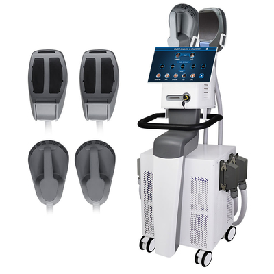 Rf EMS die Cellulite-Verminderingsmachine 13 beeldhouwen Tesla-het Heftoestel van het het Vermageringsdieetuiteinde van het Geschiktheidslichaam