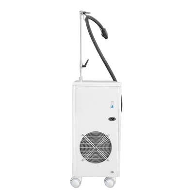 van de de Machine-20c Cryotherapy Zimmer Huid van 800w Cryotherapy de Gezichts Koelmachine
