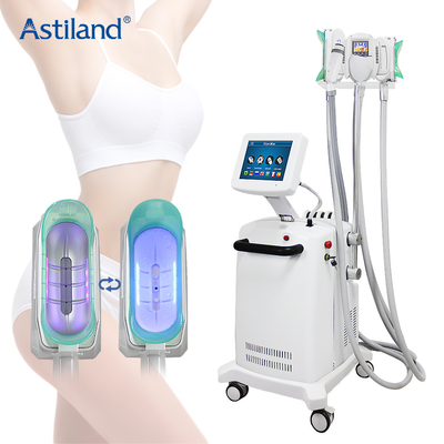 Cavitatie 4 van Cryo Lipolaser rf van de Cryolipolysismachine in 1 Vet Diepvriezersysteem voor Lichaamsvermageringsdieet
