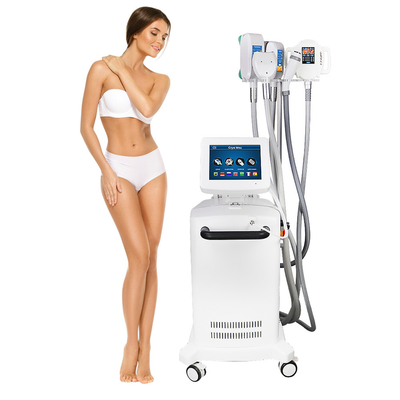 Machine die van de Cryolipolysis de Vette Verwijdering Beeldhouwend Niet-invasieve Vette Vermindering koelt