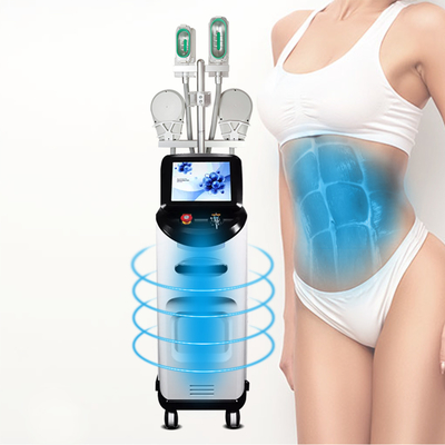 Van de Machinecryolipolysis van het lichaamsvermageringsdieet Machine van het de Technologievermageringsdieet de Vette Koel