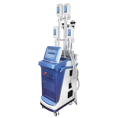 Huid die van de de Lasermachine van Lipo van de Cryo de Vette Vorst het Vette Verlies van rf aanhalen