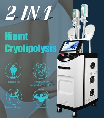 Het Lichaam die van EMS Cryolipolysis Machine 2 in 1 voor het Vette Verwijderingslichaam De contouren aangeven beeldhouwen van
