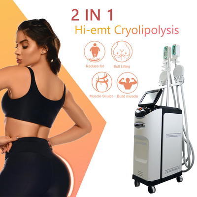Cryolipolyseems Machine 360 Cryo-Vet die Cellulite-Verwijdering bevriezen