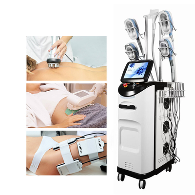 360 Cryolipolysis de Machine dat met rf-Handvat voor Gezicht wordt gecombineerd en het Lichaamsvet verminderen