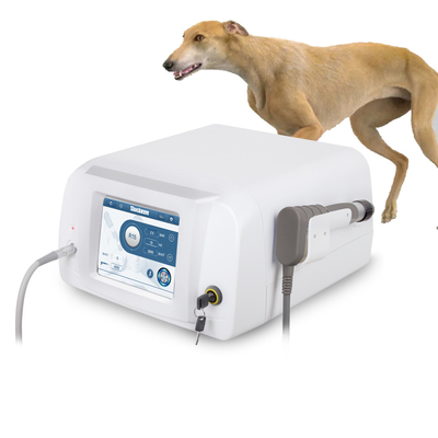 Pneumatische pijnbestrijding Schokgolf Veterinair Apparaat Schokgolftherapie Machine voor paarden