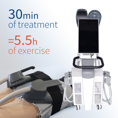 Salon Gebruik 14 Tesla EMS Body Sculpting Slimming Machine 4/5 Handles RF Type For Beauty