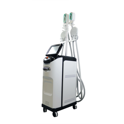 Geavanceerd 10,4 inch touchscreen cryo reduction systeem cryo reduction apparaat met HI EMT technologie