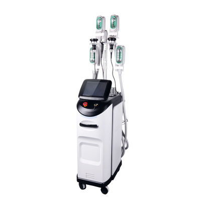 Draagbare cryolipolyse vetvriezing afslankingsmachine met vacuüm voor salon thuisgebruik