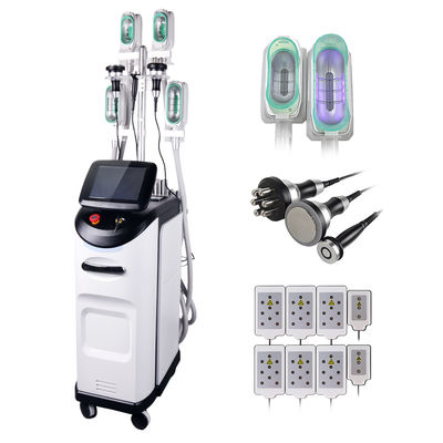 360 Cryolipolysis de Machine dat met rf-Handvat voor Gezicht wordt gecombineerd en het Lichaamsvet verminderen