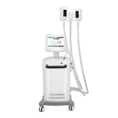 ABS Machine van het de Vorstvermageringsdieet van Cryolipolysis de Vette voor Buik