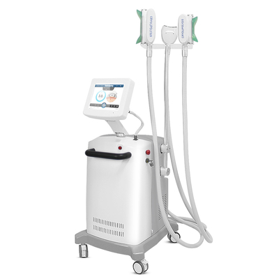 van het het Gezichtslichaam van 2000W 100kpa het Vermageringsdieetmachine van Cryolipolysis