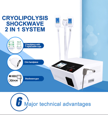 2 in 1 Multifunctionele Vette het Bevriezen van Cryolipolysis Machine met Handvat 4