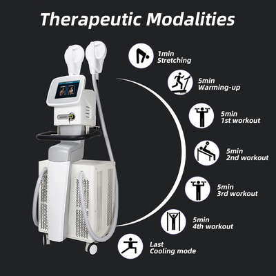 De Machine van het Astiland220v EMT Sculptmax EMS Vermageringsdieet