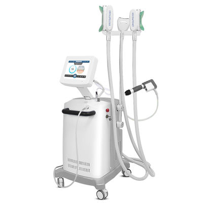 Cryolipolysis & Schokgolf 2 in 1 Systeem voor Vette Verwijderingsmachine