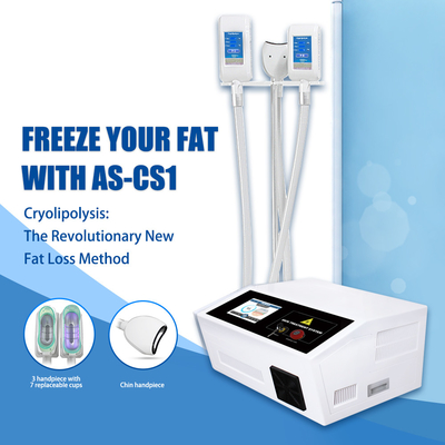 De draagbare van de Machinecryo van Cryolipolysis Lipo Vette Diepvriezer voor Dubbel Chin Fat Removal
