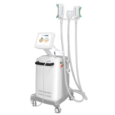 Buik die Hoge Efficiënte Cryolipolysis-Vermageringsdieetmachine branden