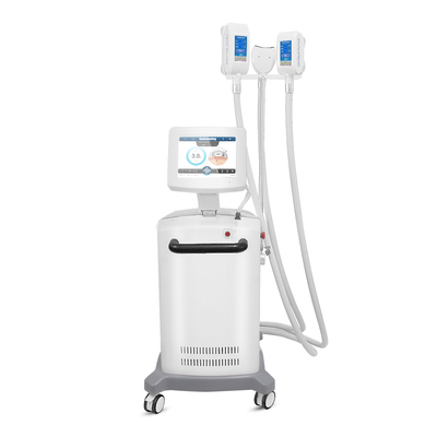 Het Vermageringsdieetmachine van Cryolipolysis van de Cellulitevermindering met Ce