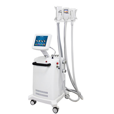 Vetvriezen Cryolipolyse Machine Niet-invasieve afslanking met geavanceerde koeltechnologie
