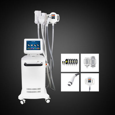 5 van de het Vermageringsdieetmachine van handvattencryolipolysis Machine van de de Buik de Vette Vermindering