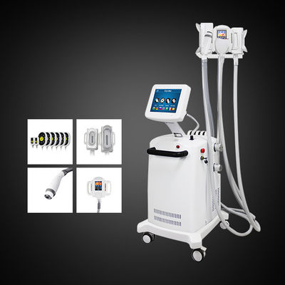 Cryomax Lipolaser 4 in 1 Lichaam die Cryolipolysis-Vermageringsdieetmachine beeldhouwen