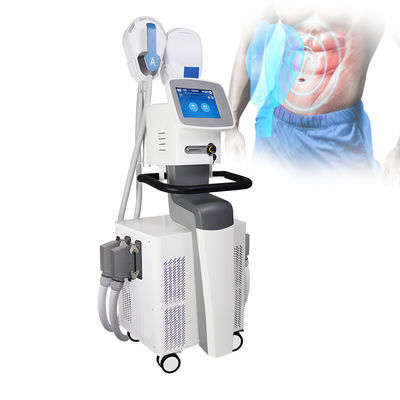 4 Ce van de handvattenems EMS SCULPTING Machine Gediplomeerd voor de Spier Buliding van het Lichaamsvermageringsdieet