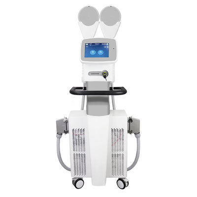 EMS-Vermageringsdieetmachine ISO13485 voor Lichaam het Beeldhouwen