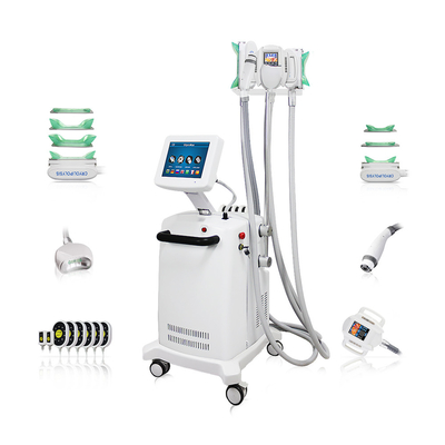 10.4 inch kleuren touchscreen cryo-lipo afslankingsmachine voor professionele vetvermindering