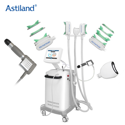 Schokgolf 2 van het Cryolipolysisvermageringsdieet in 1 Machine Aesthetics Spa Levering
